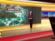 Rising Plastic Pollution Threatens Mediterranean Ecosystem