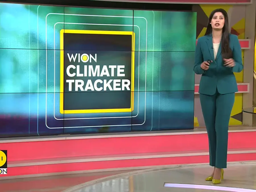 Tunisia Women Herb Harvesters Struggle With Drought