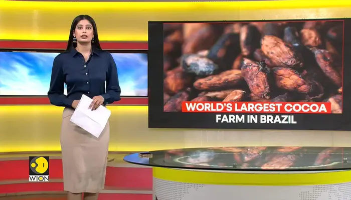 Brazilian farmer plans world’s largest cocoa farm
