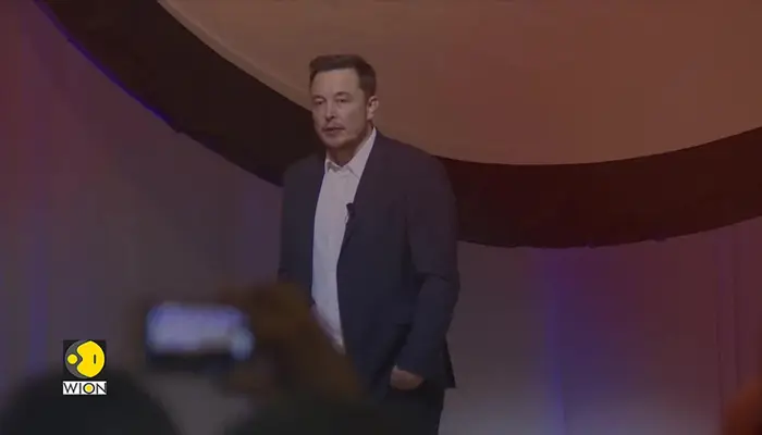 Elon Musk to cut DOGE time after Tesla profit drops 71%