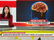 GRAVITAS: Researchers Explain Why We Process One Idea At A Time