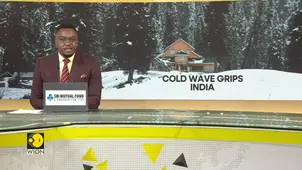 Cold Wave Grips Several Parts Of India; Dense Fog predicted In North India