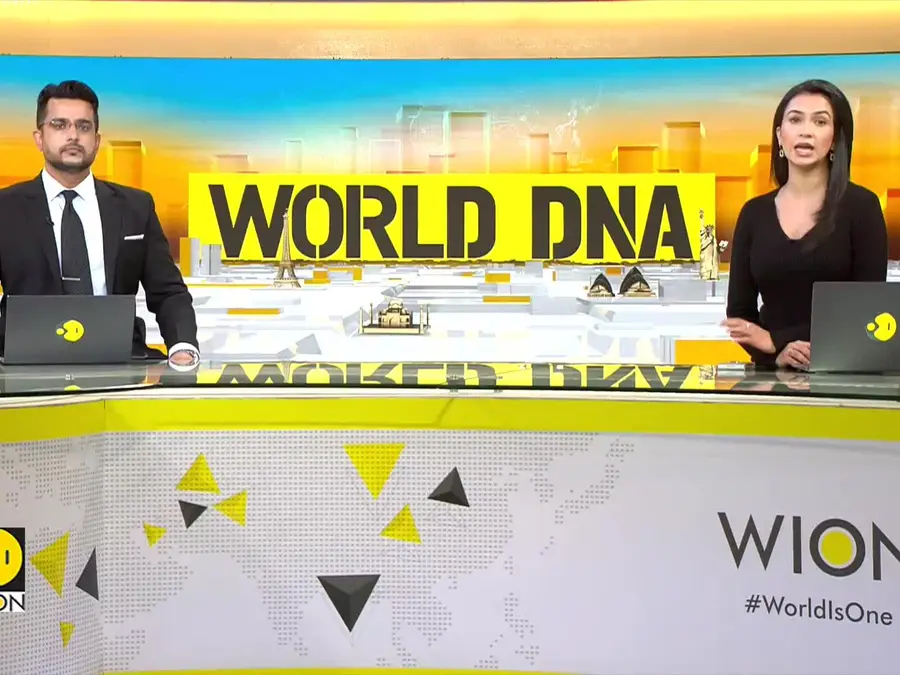 Mozambique's Disputed Election Verdict Reignites Protests