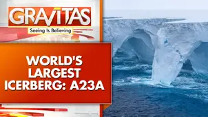 A23a: Giant Iceberg on collision course with Island, threatening penguins and seals