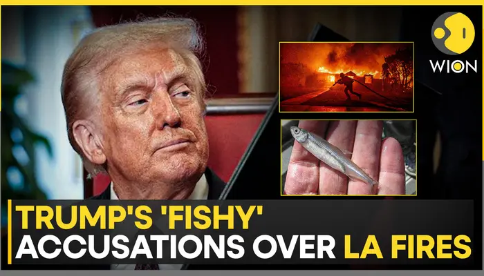 Donald Trump blames California's water shortages on delta smelt protection