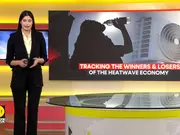 Tracking the winners and losers of the heatwave economy