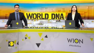 Trump supports Musk’s 'white genocide' claim against South Africa
