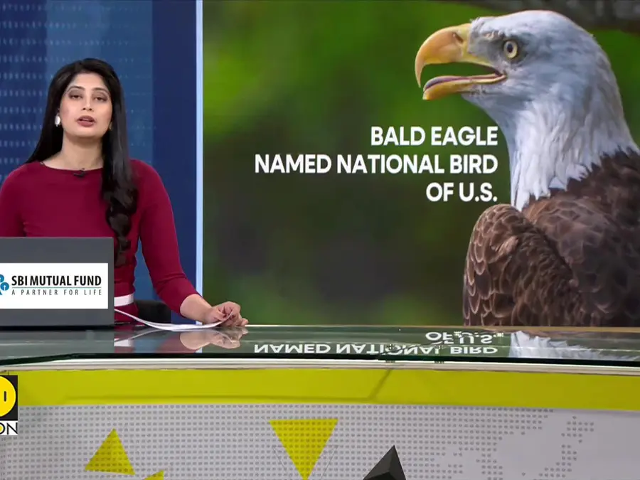 Bald Eagle Officially Declared U.S. National Bird