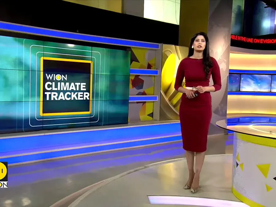 UK Met Forecasts 'Green Christmas'