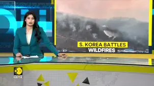 South Korea: Ravaging wildfires engulf residential building and a temple