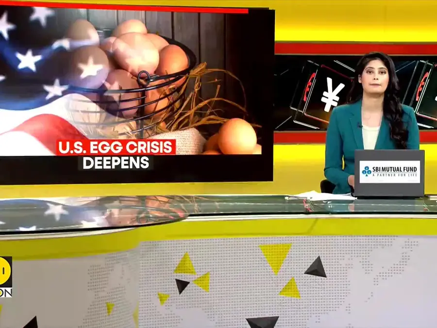 US considers 360 million broiler chicken eggs for food