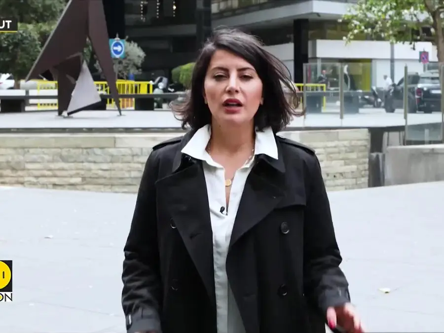 Who are the Muslim Brotherhood?