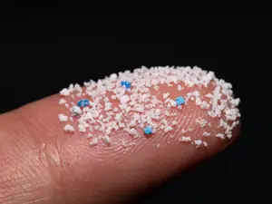 ‘Very alarming,’ say researchers on detecting microplastics in human ovary follicular fluid