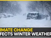 Are the chances of a white Christmas changing?