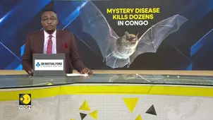 DR Congo: New disease spreading rapidly, killing dozens, after children ate a bat