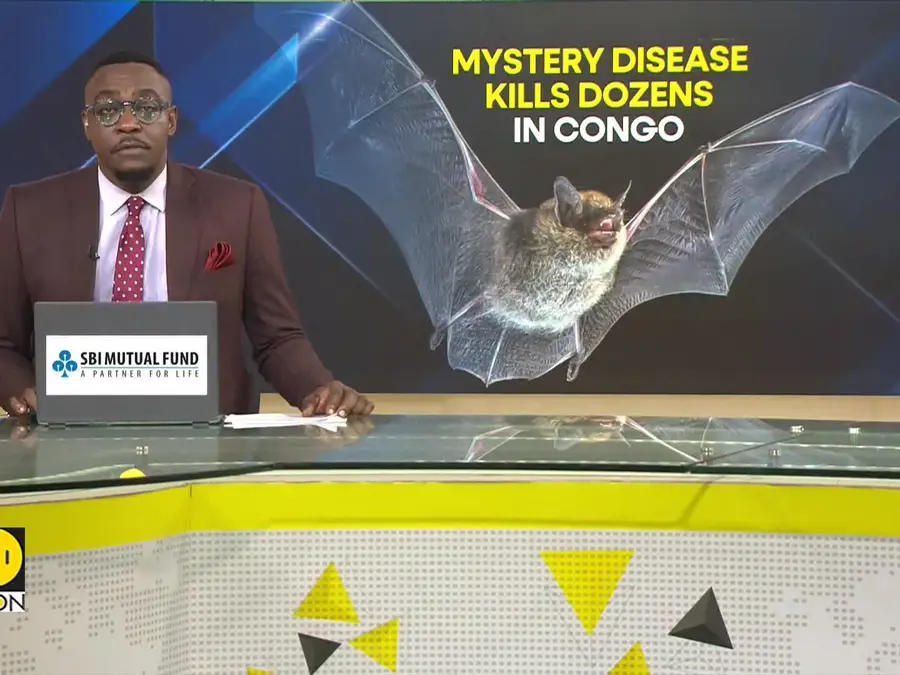 DR Congo: New disease spreading rapidly, killing dozens, after children ate a bat