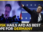 2025 Germany elections: After 'Nazi salute', Musk joins German far-right campaign