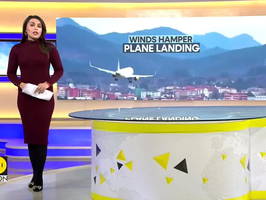 Strong winds buffet plane's landing