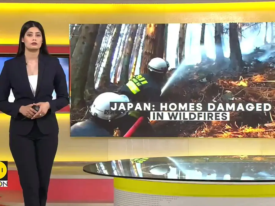 Japan wildfire: Deadly wildfires damage homes in western Japan