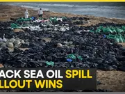 Russia rushes to clean up oil spill along black sea coast