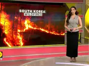 Strong winds fan deadly South Korea wildfires