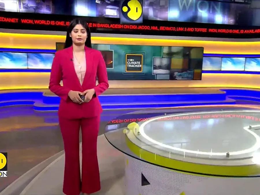 Purple flower cluster enthrall visitors as Wisteria trees are in full bloom in Japan