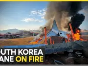 Many killed as plane with 181 people on board crashes on South Korea runway