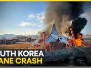 South Korea plane tragedy: 179 dead