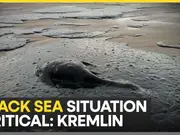 Russia warns of severe environmental damage from black sea oil spill, calls situation critical