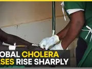 Cholera cases spike after years of control