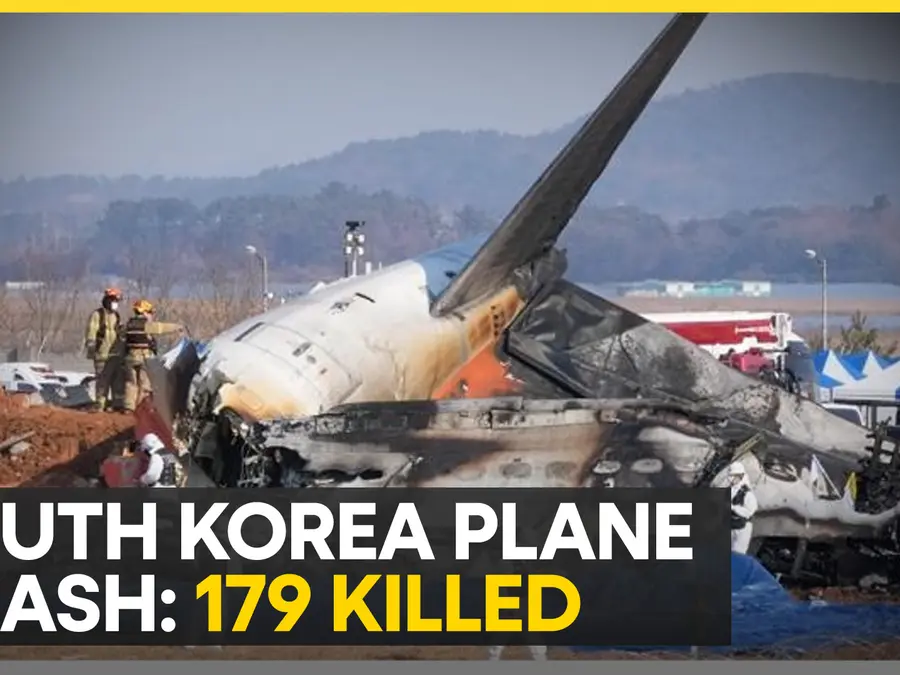 South Korea plane tragedy: How safe is it to travel by air?