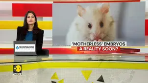 Chinese scientists create mouse with two fathers