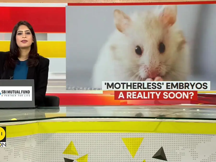 Chinese scientists create mouse with two fathers