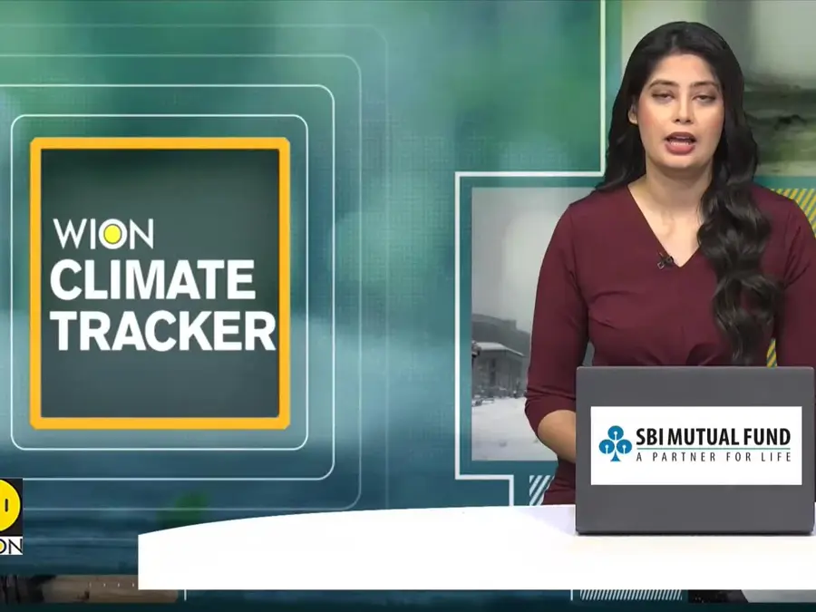 Puppet parade: Animals march to raise climate awareness