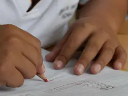 France's new language tests spark controversy, critics claim even natives would struggle to pass