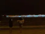 Bioluminescent 'sea sparkles' light up Tasmania’s coastline, raising environmental concerns