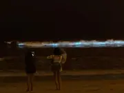 Bioluminescent 'sea sparkles' light up Tasmania’s coastline, raising environmental concerns