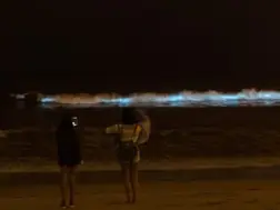 Bioluminescent 'sea sparkles' light up Tasmania’s coastline, raising environmental concerns
