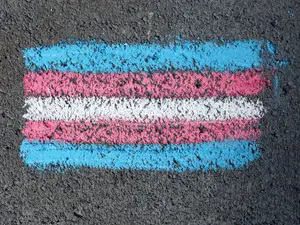 Brazil prohibits hormone therapy for transgender minors