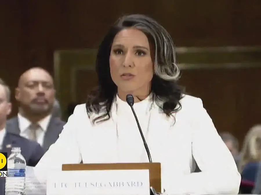Tulsi Gabbard, Trump's spy chief pick, grilled for mysterious meeting with Syria's Assad