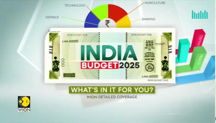 India Union Budget 2025: What is the youth expecting? | WION detailed coverage