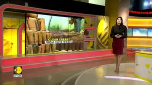 Tunisia's olive waste fuels innovation in clean energy transition