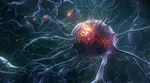 Lowering 'bioenergetic age' could cut Alzheimer’s risk, study suggests