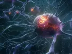 Lowering 'bioenergetic age' could cut Alzheimer’s risk, study suggests