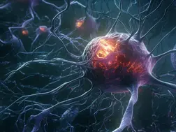 Lowering 'bioenergetic age' could cut Alzheimer’s risk, study suggests