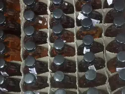 14 died in Punjab after consuming spurious liquor