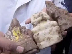 Three Hindu idols found in Sambhal’s newly uncovered Shiv-Hanuman Temple: Police