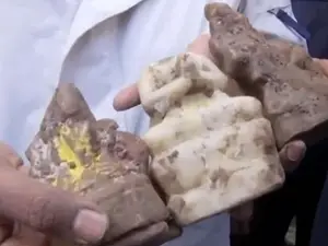 Three Hindu idols found in Sambhal’s newly uncovered Shiv-Hanuman Temple: Police