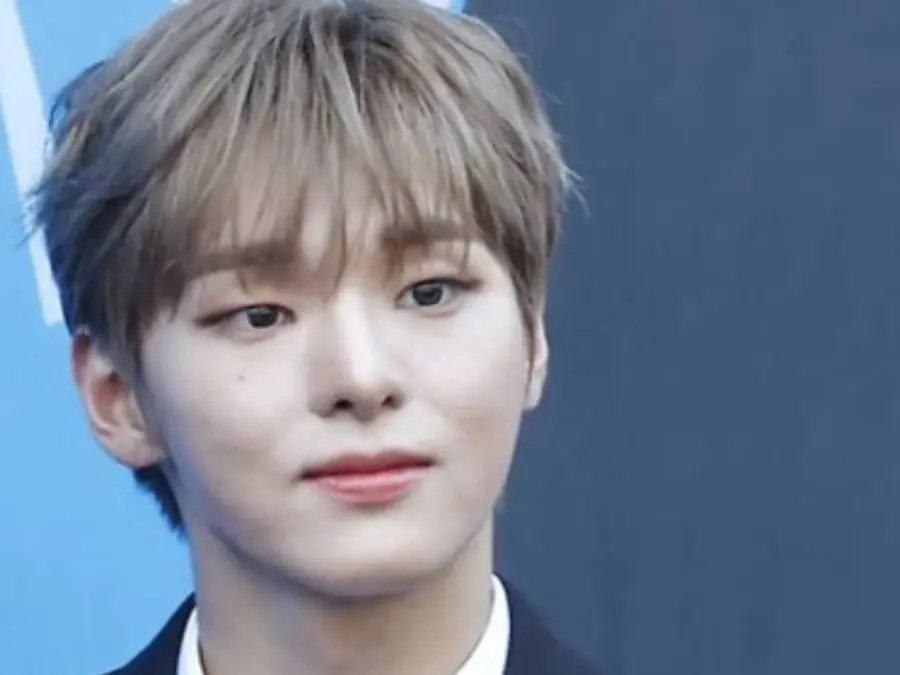 K-pop band Vanner's Hyesung discharged from military service one month after joining