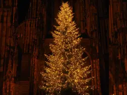 Walmart and Target recall 40,000 Christmas tree light controllers over fire hazards